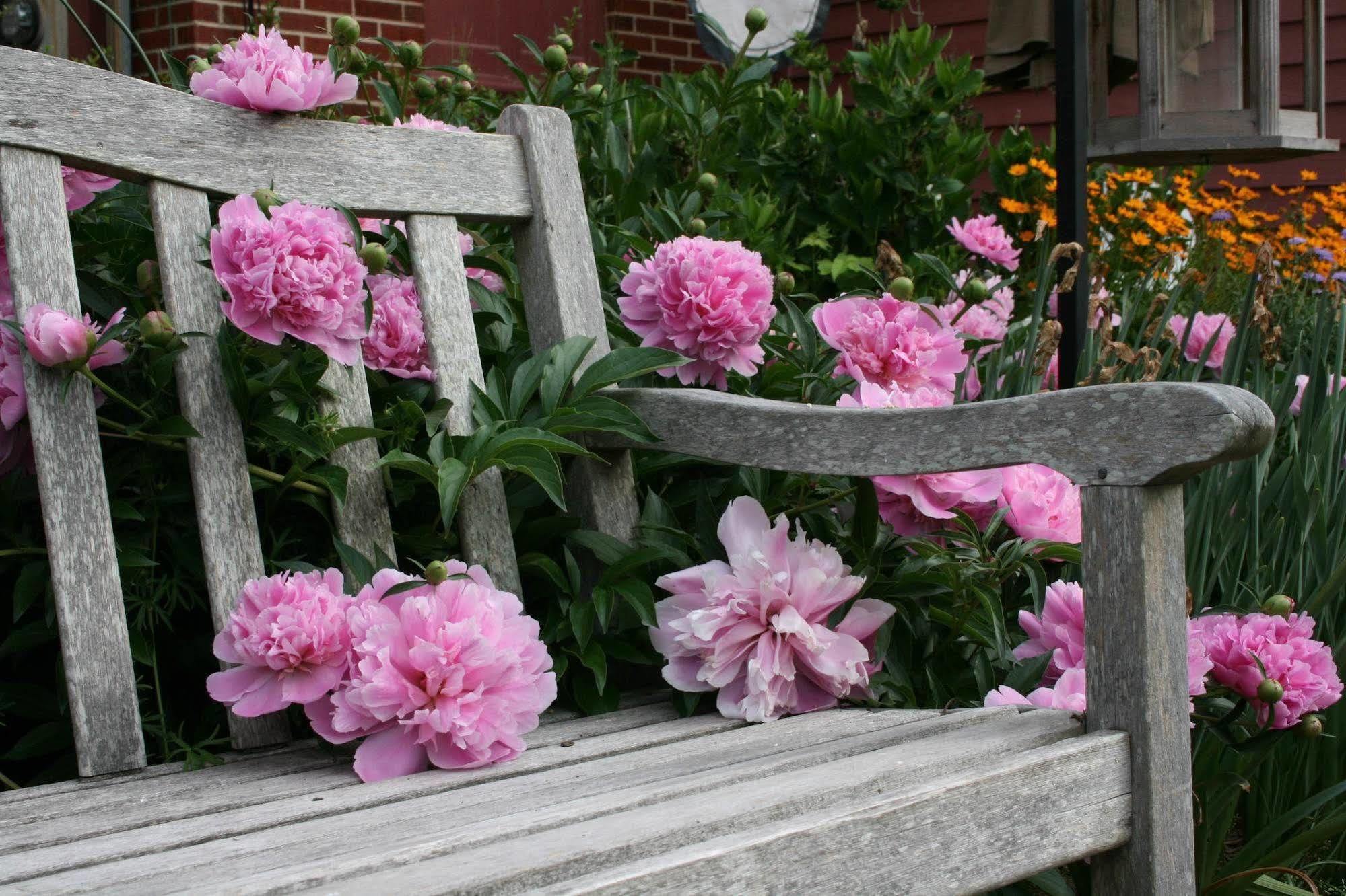 Williamsburg Manor B&B 외부 사진